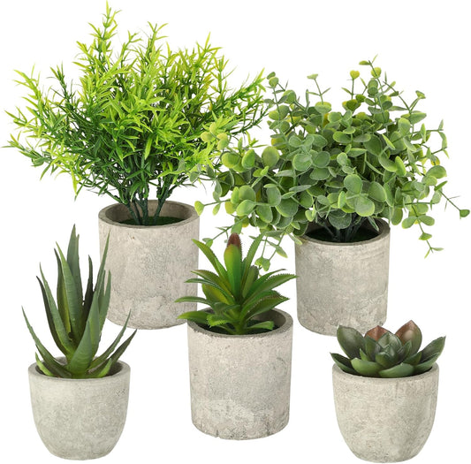 Set de 5 Plantas Artificiales Pequeñas con Maceta de Aspecto Realista